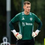 Vitek: A Benchmark for Excellence