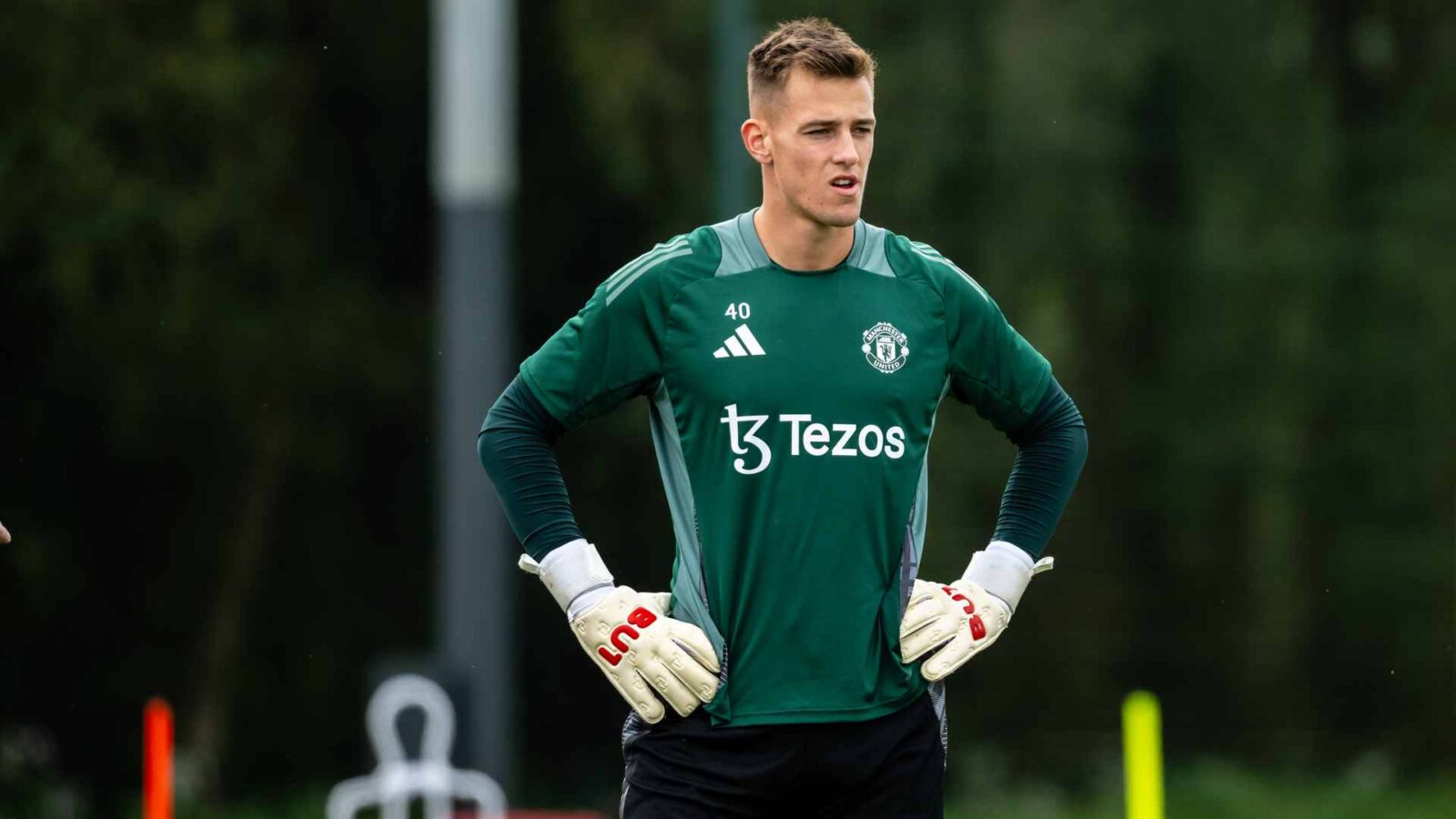 Vitek: A Benchmark for Excellence