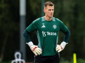 Vitek: A Benchmark for Excellence