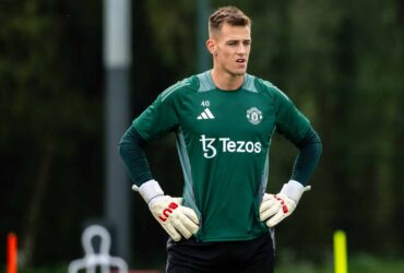 Vitek: A Benchmark for Excellence