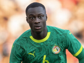 Who is Habib Diarra? Sunderland's Jobe Bellingham successor set to sign for record fee