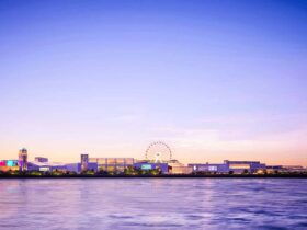 Chicago Sizzles: A Summer Series of Unforgettable Experiences