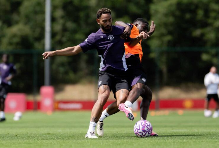 Insights Gained from Our Training Experience