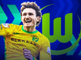 Return to the Bundesliga - Josh Sargent set to join Wolfsburg from Norwich