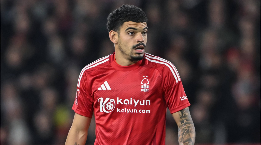Morgan Gibbs-White set to become Tottenham club record signing - How will he fit in at Spurs?