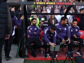 Exploring the Insights of Amorim's System