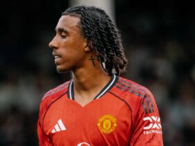 Evaluating Leny Yoro's Impact: Fan and Expert Perspectives