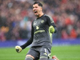 Bayindir: Embracing the Flames Within