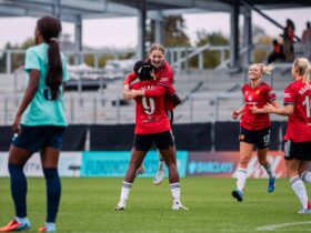 Skinner: Unleashing Park's Potential