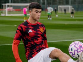 Amass Seals Loan Move to Sheffield Wednesday