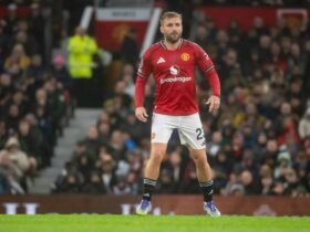 Shaw Highlights a Key Area for Joy