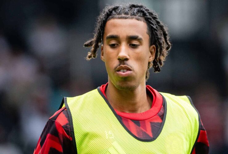 Yoro's Lasting Significance: A Future Landmark