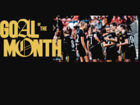 Miyazawa's Stunning Strike Claims Goal of the Month