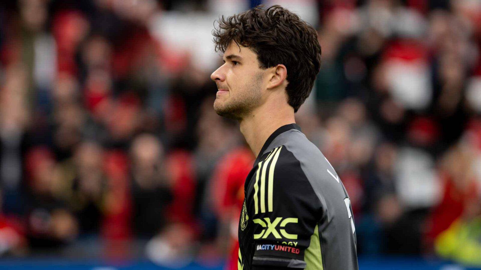 Lammens: Guardian of Commitments