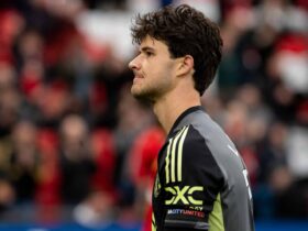 Lammens: Guardian of Commitments