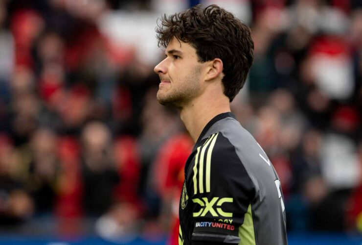 Lammens: Guardian of Commitments