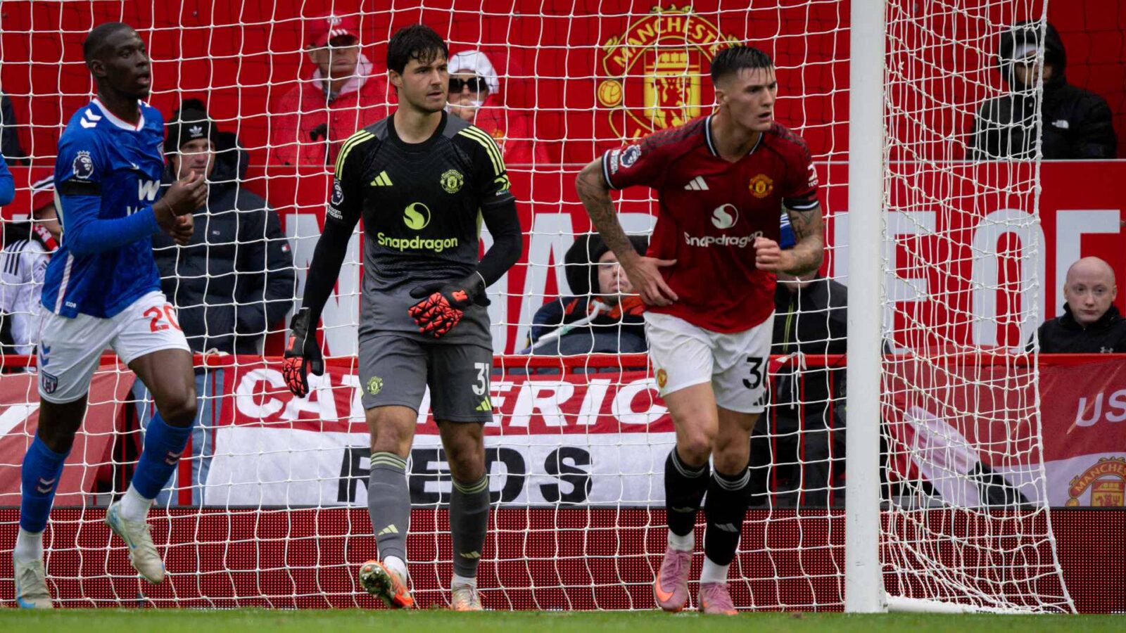 Lammens Shines Bright: A Debut to Remember!