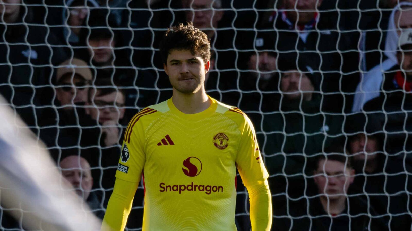 Lammens: The Joy of Trusting Others