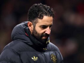 Amorim: The Absence of Flow