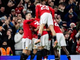 Expert Insights: A Journey to Villa