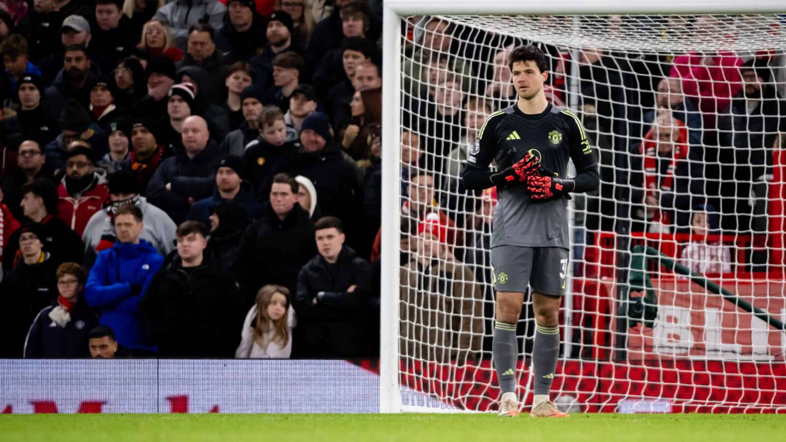 Lammens: Standout Star of the Game