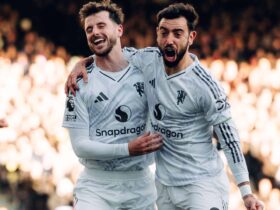 Latest Insights on Bruno and Mason from Ruben