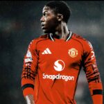 Kobbie's Journey: Finding Joy in New Horizons