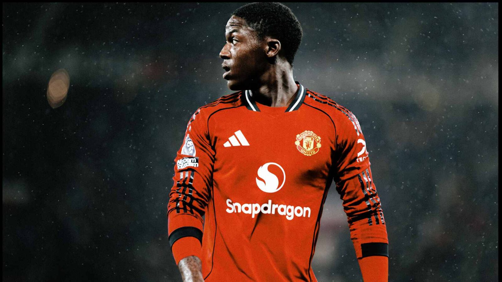 Kobbie's Journey: Finding Joy in New Horizons