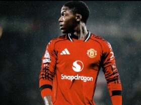 Kobbie's Journey: Finding Joy in New Horizons