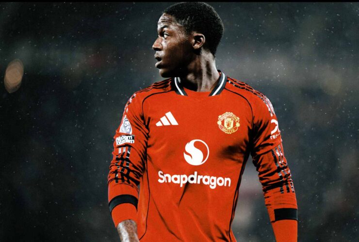 Kobbie's Journey: Finding Joy in New Horizons